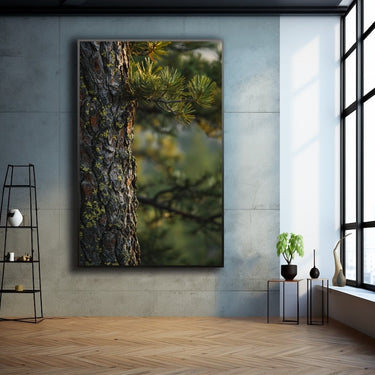 Pine Tree Canvas